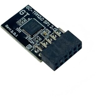 Gintai Modulo TPM 2.0 SPI 12pin per Gigabyte Z690M AORUS Elite AX DDR4,Z690 UD AX/DDR4/AX DDR4 V2,Gaming X D DR4 V2,AORUS Master/Elite AX D DR4 V2 Scheda Madre GC-TPM2.0 SLB9670