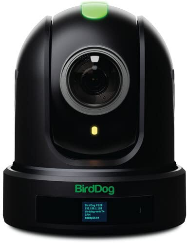 BirdDog P110 PTZ Kamera 1080P mit 10x Zoom, OLED Screen