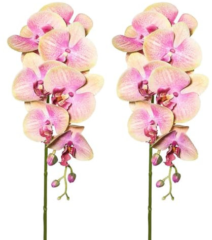 Pflanzen Kölle Kunstpflanze Orchideenzweig, grünrosa, Höhe ca. 87 cm, 2 Stück