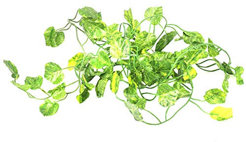 Boddceto 2M Lange kuenstliche Pflanzen gruenen Efeu verlaesst kuenstlich Weinrebe gefaelscht Parthenocissus Laub Blaetter Hochzeit Bar Dekoration,Begonie