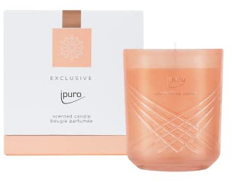 ipuro - dekorative ipuro fève tonka Duftkerze - minimalistische & puristische Duftkerzen im Glas - intensive Duftkerzen mit aromatischer Tonkabohne & zarter Rose - stilvolle Kerze 270 g