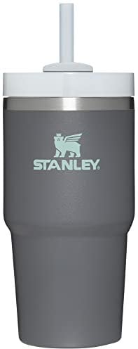 Stanley Quencher H2.0 FlowState Stainless Steel Vacuum Insulated Tumbler with Lid and Straw for Water, Iced Tea or Coffee, Smoothie and More