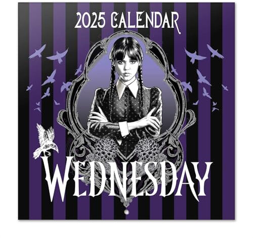 Kalender 2025 Wandkalender 2025 Grupo Erik Netflix Wednesday Kalender 2025 Familienplaner 2025 30 x 30 cm Jahreskalender Familienkalender 2025