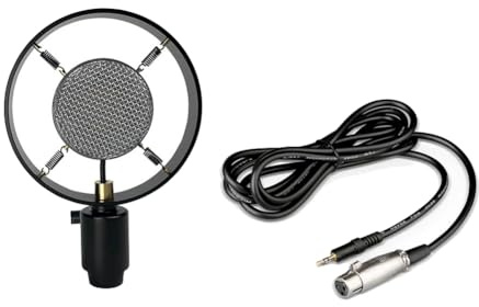 Ehwisbe Vintage Retro Classical Microphone Model Stage Performance Condenser Type for Recording for Video Photography