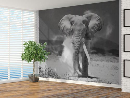 Black And White Elephant Charging Photo Wallpaper Wall Mural Animal - 2XL
