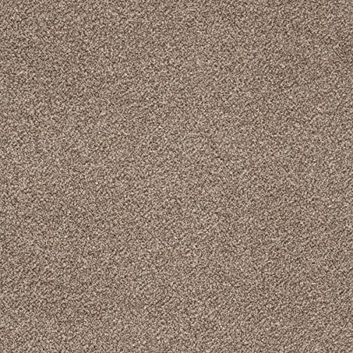 Auslegware in Braun Teppichboden Meterware in 4 und 5 Meter Breite Kräuselvelours Teppich ideal für Wohnzimmer und Schlafzimmer (5 m x 8 m)