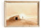 ESSEN Life Das leere Grab | Christliche Osterdekoration, Auferstehungsdekorationen, Auferstehung Jesu Christi, Jesus-Dekor, christliche Wandkunst, religiöse Heimdekoration (27,9 x 35,6 cm, ungerahmt)