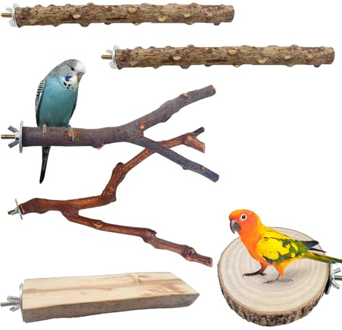 6 Pcs Bird Perches for Cage Natural Wood Parrot Budgie Perch O-Shaped & Rectangle Platforms Birdcage Stand for Parrotlets Cockatiels Lovebirds