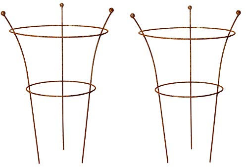 RUDDINGS WOOD Set of 2 x Natural Rust Metal 3 Leg Large Herbaceous Peony Plants Support Rings (79cm high x 50cm diameter) Garden Rusted Flower Plant Grow Through Cage Frames