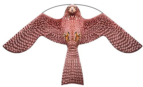 Laptony Vogelschreck Flugdrachen Pflanzen Bauernhof Beschützer Vogel Falke Flugdrachen für Garten und Bauernhof nur Drachen