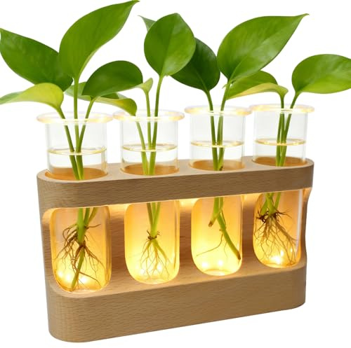 Blumenvase Reagenzgläser mit Ständer, 4 Reagenzgläsern, Abnehmbare Pflanzen Propagation Station Reagenzglas Vase Holz Reagenzgläser für Blumen mit Halterung, für Home Wohnzimmer Büro (Warmes Licht)