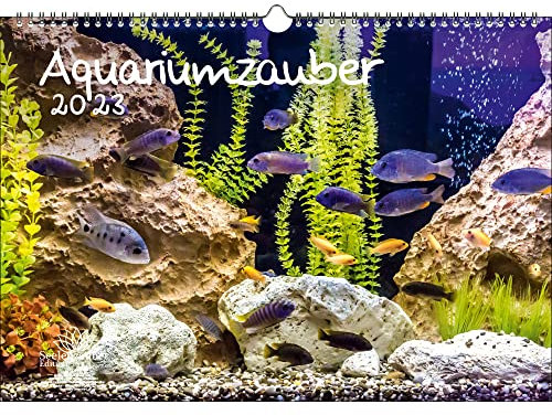 Aquarium Magie Kalender A3 für Tiere 2023 im Aquarium und unter Wasser inkl. Seelenzauber