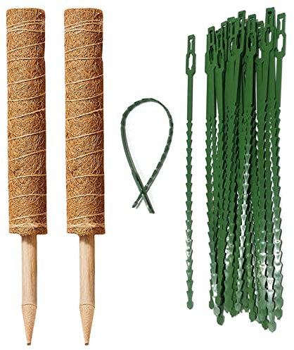 Lot de 2 bâtons de mousse de 40 cm avec armature réglable et corde de jute extensible en noix de coco pour jardin, plantes grimpantes Monstera Philodendron