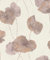 Rasch Tapeten Vliestapete (Floral) Rot 10,05 m x 0,53 m Andy Wand 458237