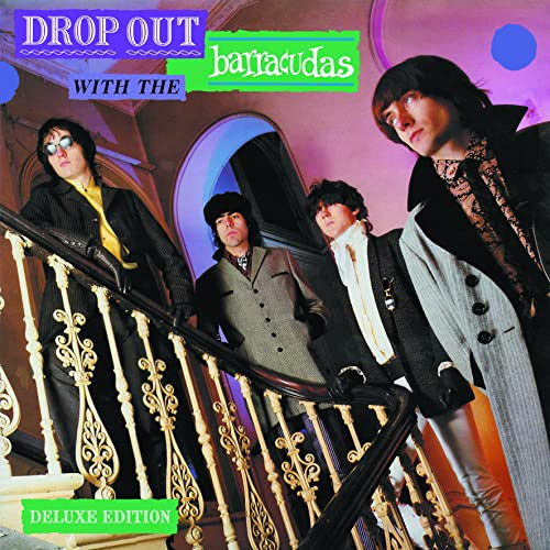 DROP OUT WITH THE BARRACUDAS CLAMSHELL