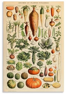 Vintage-Poster, ästhetisches Obst und Gemüse, Leinwandposter, Wandkunst, Dekoration, Wohnzimmer, Schlafzimmer, Dekoration, Poster, 40 x 60 cm, ungerahmter Stil
