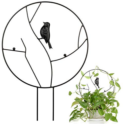 YHNJI Treillis de Jardin pour Plantes grimpantes, Piquet Vintage avec Oiseau Rond en métal antirouille pour Plantes en Pot de Vigne