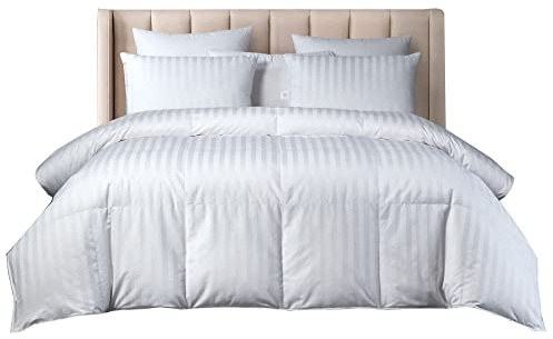 Beautyrest US Grown Cotton All Seasons Warmth Exceptional Hungarian White Goose Down Comforter Queen Size-750 Fill Power 500TC Damask Stripe Fabric