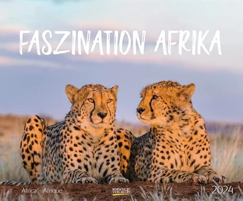 Faszination Afrika - Kalender 2024 - Art-Format - Korsch-Verlag - Fotokalender - Naturfotografie - 55 cm x 45,5 cm