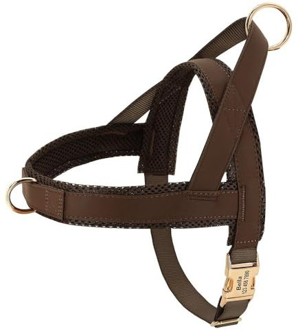 Maßgeschneidertes Hundegeschirr, Personalisiertes Hundegeschirr Ohne Ziehen, Leder-Hundewestengeschirr, Weich Gepolstertes Hundegeschirr Mit Netzstoff Für Kleine Und Mittelgroße Hunde, Französisc
