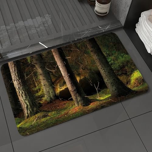 KDWJS Tapis Salle de Bain Absorbant Tapis de Bain,Lavable en Machine,Tapis de Douche antidérapant,Tapis de Chambre,Forêt de conifères et de Gros rochers dans la lumière Magique du Soir,40x60 cm