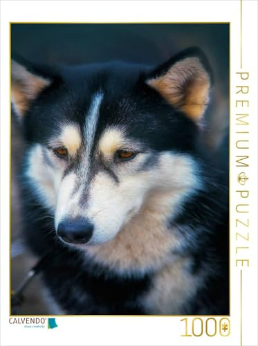 CALVENDO Puzzle EIN Motiv aus dem Kalender Huskies - Artwork | 1000 Teile Lege-Größe 48 x 64 cm Foto-Puzzle für glückliche Stunden