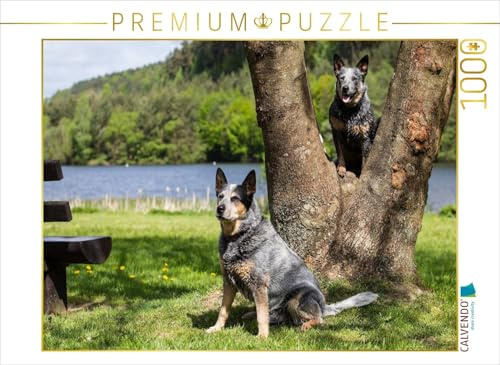 CALVENDO Puzzle EIN Motiv aus dem Kalender Spaziergang am See Australian Cattle Dogs 1000 Teile Puzzle quer | 1000 Teile Lege-Größe 64 x 48 cm Foto-Puzzle für glückliche Stunden