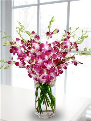 eFlowerWholesale Premium Fresh-Cut Purple Orchids with Vase (20 Stems) – Elegant Floral Gift for Birthdays, Mother's Day, Easter, Graduation, Back to school | Support a Small Business