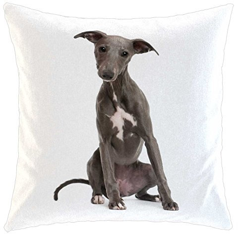 Kissen/weiches Kuschelkissen mit Füllung 40x40cm - Motiv: Whippet/Windhund sitzend | 002