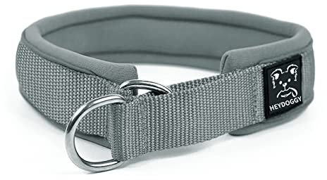 Weich Neopren Gepolstert Hundehalsband (4cm Breite) Reflektierend Hund Halsband mit Robust Nylon & Zugstopp, Bequem Zughalsband Dressurhalsband für Kleine Mittlere Große Hunde Anti-Zug Walken S,Grau