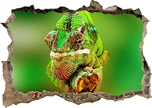 Chameleon Lizard Jungle Green 3D Wandaufkleber Poster Aufkleber Wandbild Schlafzimmer