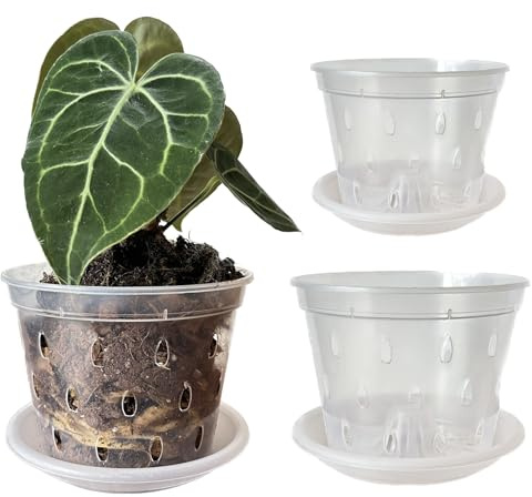 Meboem Pots de fleurs transparents avec trous et soucoupes pour plantes tropicales Anthurium Clarinervium Monstera (6, 3 de chaque pot de 11 cm, 14 cm)
