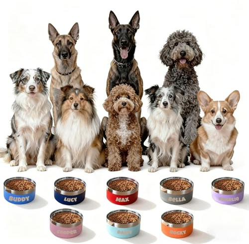 Personalised Stainless Steel Dog Bowl with Text, Three Sizes and 8 Colors, Anti-Slip Pad on the Bottom (S)