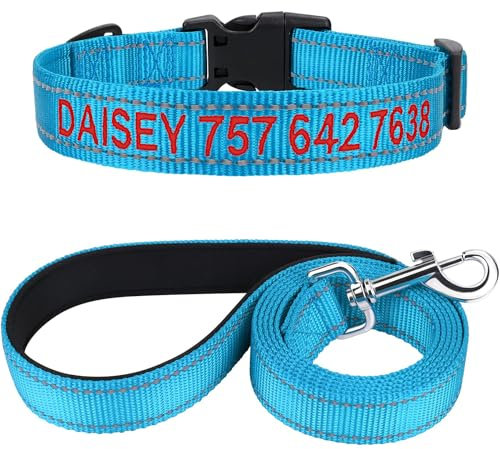 TagME Hundehalsband und Leine, Personalisierbar Reflektierendes Hundehalsband Mit 1.5M Doppelseitige Reflektierende Hundeleine für Kleine, Himmelblau