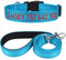 TagME Hundehalsband und Leine, Personalisierbar Reflektierendes Hundehalsband Mit 1.5M Doppelseitige Reflektierende Hundeleine für Kleine, Himmelblau