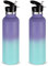 Volhoply 750ml Gourde Inox avec Paille 2 Paquets, Bouteille Isotherme à Double Paroi Avec Couvercle Sans BPA, Bottle Réutilisable en Métal pour École, Sport, enfant, Cadeaux(Dégradées,2 Set)