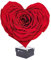 Ewige Rose Infinity Rosen in Geschenkbox Deko Rosenblätter getrocknet Echte konservierte Rosen Rosenkopf Rosenbox Muttertagsgeschenk (Geschenkbox Herz Rot)