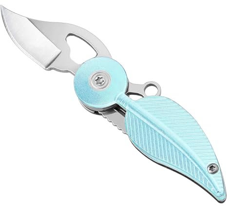 FENGCHUANG Couteau Porte Clé, Couteau Pliant de Poche, Porte Clef Multifonction, Mini Couteau Pliant, Pratique Couteau de Poche, pour Boîte de Déballage, Extérieur, Auto Défense (Bleu)