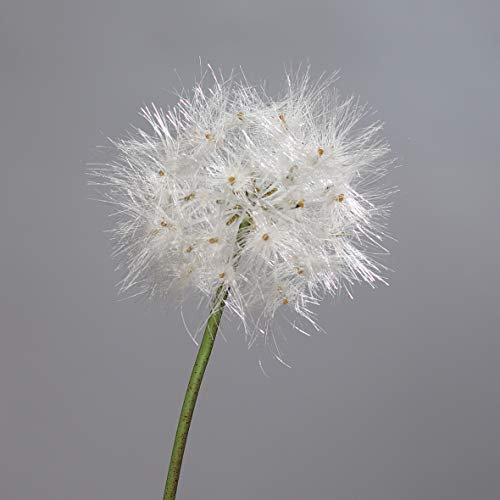 Pusteblume 80cm DP Kunstblumen künstliche Blumen künstliches Pusteblumengras
