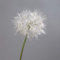 Pusteblume 80cm DP Kunstblumen künstliche Blumen künstliches Pusteblumengras