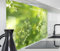 timalo Spritzschutz Wand für Herd, Küche Küchenrückwand Glasoptik | Acryl Glas 2mm | Glasrückwand Acrylglas Wandpaneele Rückwandschutz Platte | 140x50cm Grüne Kräuter Natur