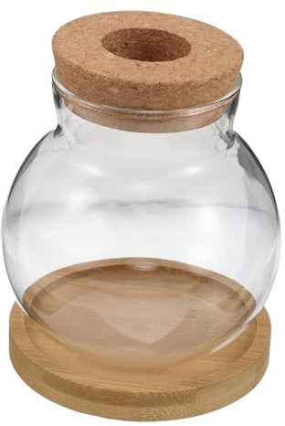 Cabilock 2 Sets Hydroponic Plant Bottle Glass Small Vase Bamboo Tray for Desk Plants Water Propagation Station