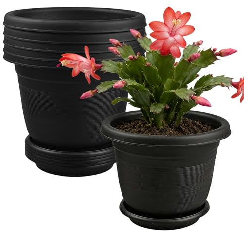 TEYIAN 6Pack 15.5cm/6.1-in Plant Pots Indoor Plastic Flower Pots with Drainage Holes and Saucers Modern Decorative Planters Succulent Indoor Outdoor Plants - Black