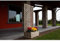 Fioriera composizione ORCHIDEA con grigliato premium cm. 120x180h