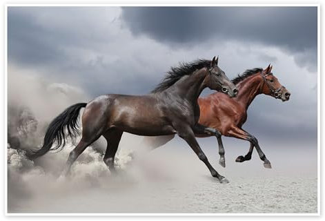 Pferde im Sturm Poster 90 x 60 cm Wandbilder Wanddeko