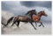 Pferde im Sturm Poster 90 x 60 cm Wandbilder Wanddeko