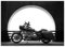 WTD H5136M_TV5BH Papier peint non tissé Motif moto Harley Davidson 254 x 184 cm