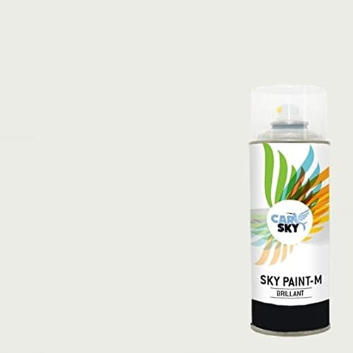 CARSKY Bombe de peinture RAL Blanc De Sécurité 9003 finition brillante 400ml