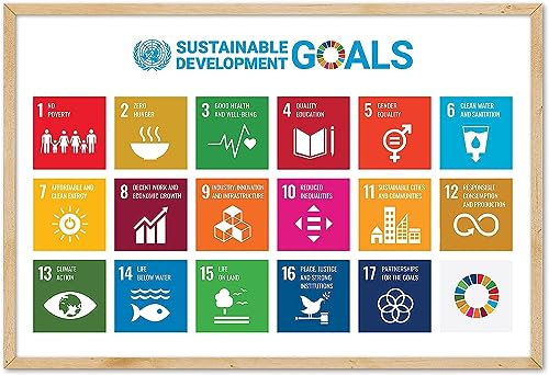 Poster für nachhaltige Entwicklungsziele, 40,6 x 61 cm, UN SDGs, 17 Ziele der Vereinten Nationen, 17 Ziele, Diagramm, Wandkunstdruck, Heimbüro, Bildung, Schule, Klassenzimmer, Dekoration (ungerahmt)