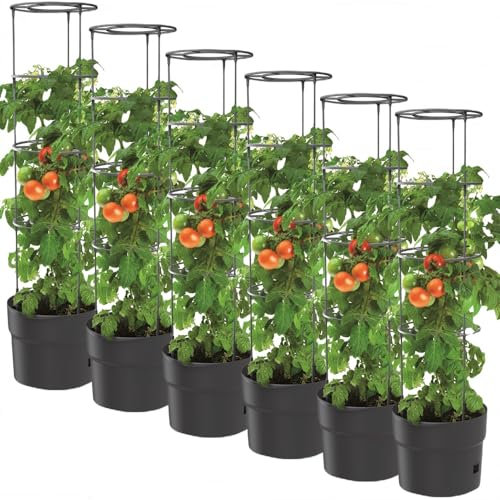 BirnePower 6X Tomatentopf Blumentopf Tomatenkübel 28L Topf für Tomatenpflanzen Tomatenzüchter mit Wasserspeicher Pflanzkübel mit Rankhilfe Rangitter Ø 40 cm H 153 cm